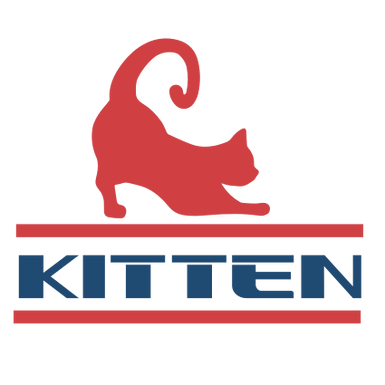 CAT 3