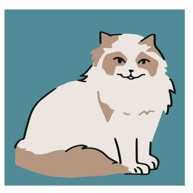 CAT 4