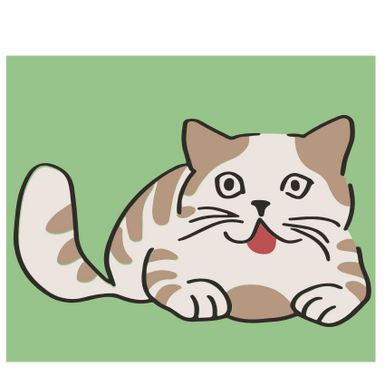 CAT 5