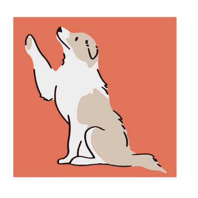DOG 1