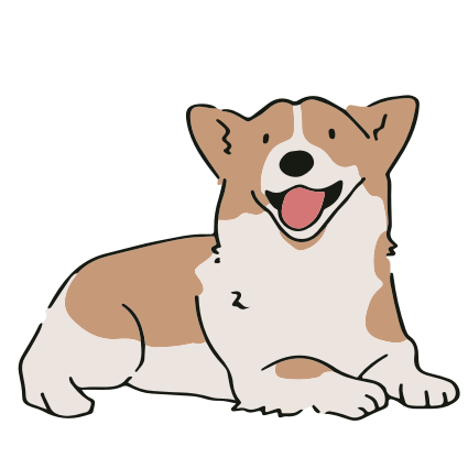 DOG 6