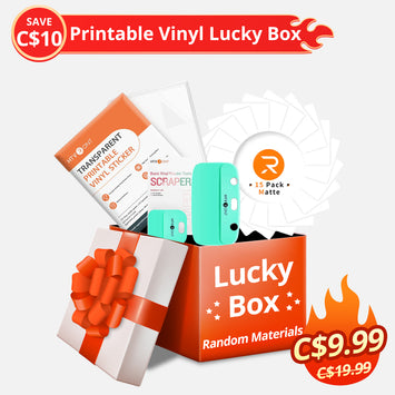 [SAVE C$10] Printable Vinyl Lucky Box