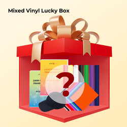 Mixed Vinyl Lucky Box